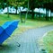 雨が降るから