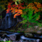 中野もみじ山