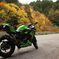 ninja250 紅葉にて