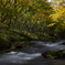 Autumn stream2