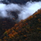 庄川峡の紅葉
