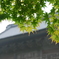雨の総持寺
