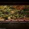 清瀧寺徳源院（晩秋の庭園）
