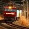 晩秋のみちのく路 VI