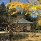 箸蔵寺の寒桜