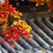紅葉２