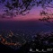 朝と夜のあいだ