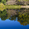 朝の公園1