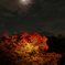 月照らす紅葉の中で