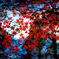 紅葉2015-2