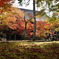 本堂と紅葉