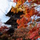 三重塔と紅葉