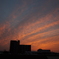 夕暮れの散歩