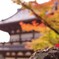 紅葉狩り