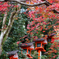 鞍馬寺