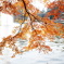 紅葉と池