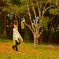 公園を散歩中