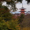 紅葉の中から