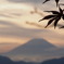 秋の夕景　２