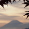 秋の夕景　３