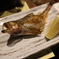 秋田県魚・ハタハタ