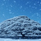この木なんの木 in snow