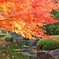 庭園の紅葉　Ⅰ