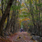 looking for autumn  part2