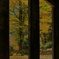 山寺