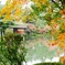 金沢  兼六園