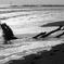 流れ着いた場所
