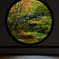 IMGP2735-5