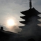DSCN1421