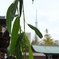 DSCN1479