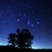 しらびそ高原の星空