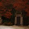 河口湖 紅葉