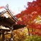 鐘と紅葉