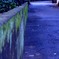 雨のあとの路地