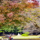 光が丘公園　