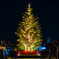 Christmastree