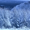 Winter Again