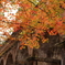 水路閣と紅葉
