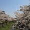 一の坂川