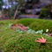 2015_1121_12192200(4)