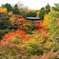 紅葉の東福寺