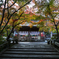 鍬山神社の紅葉