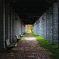 corridor 21th October