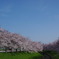 春の空