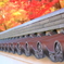 京都の秋