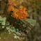 P1060924